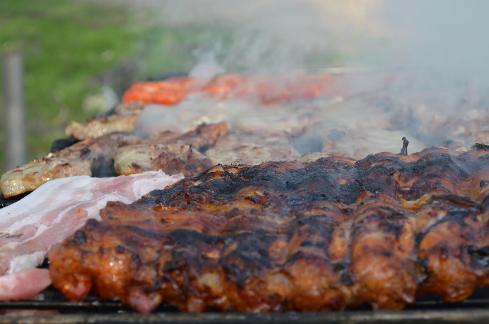 Teslui 2014 - part 1 - image1.jpg